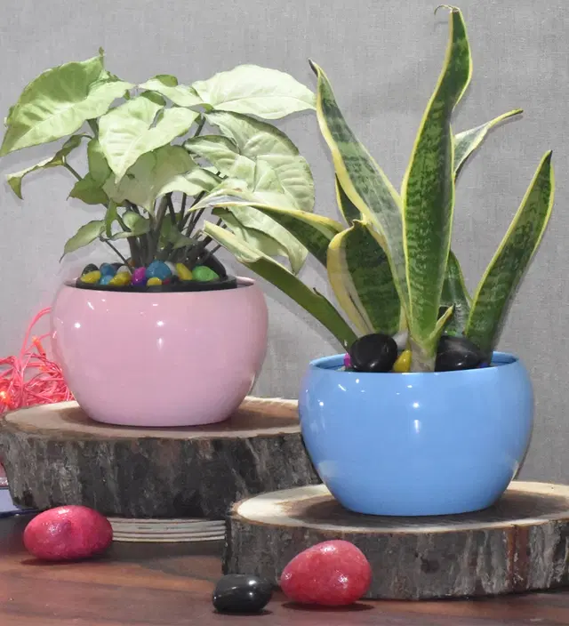 Metal Planter for Home, Pink & Blue, Pack of 2