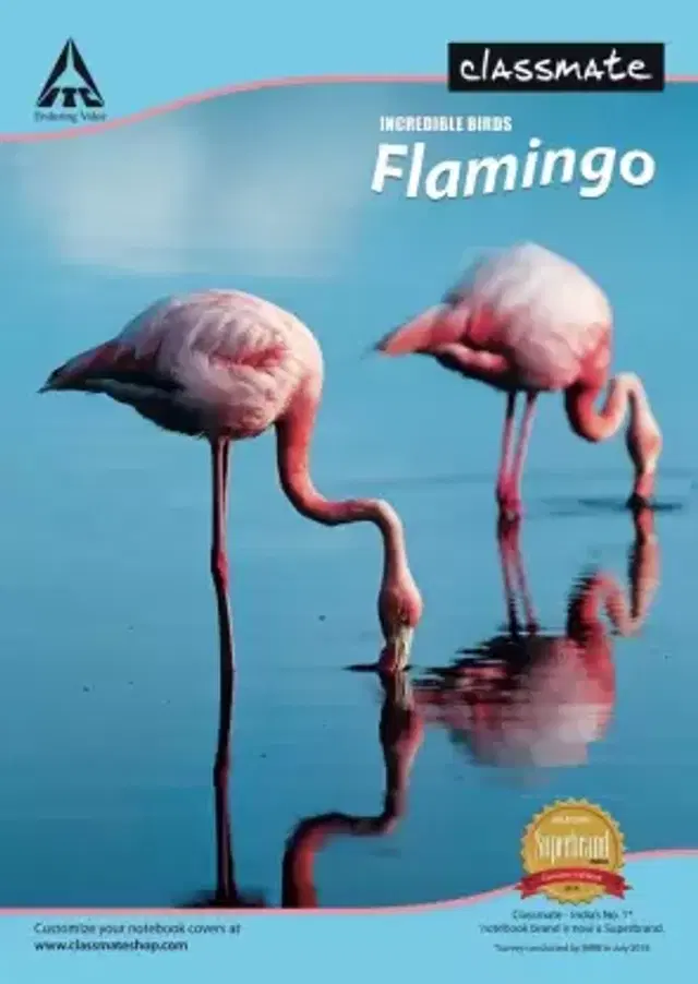 CLASSMATE A4 Single Line Long Notebook, 240 Pages, Multicolor, Pack of 6