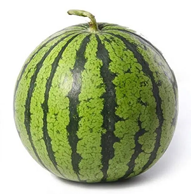 Green Watermelon Fruit Seeds, Pack of 10