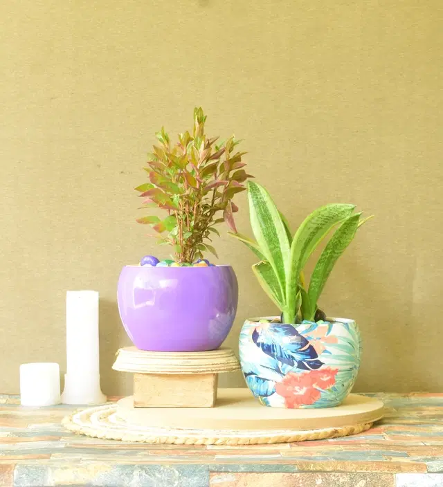 Metal Planter for Home, Multicolor, Pack of 2