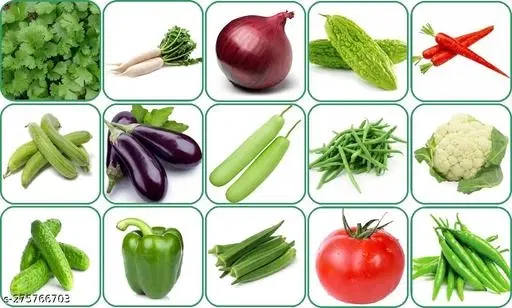 Aero Seeds Combo of 15 variety vegetable seeds with instruction manual.
