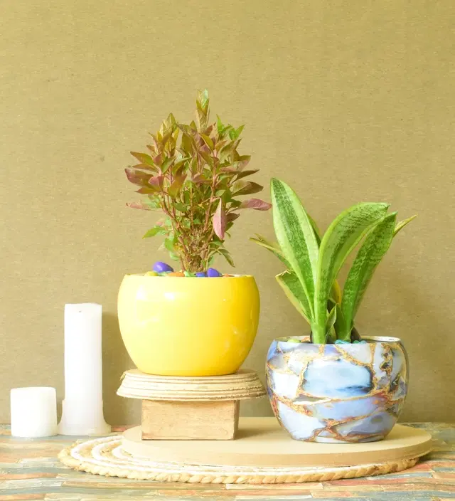 Metal Planter for Home, Multicolor, Pack of 2