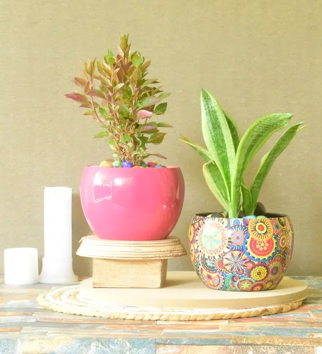 Metal Planter for Home, Multicolor, Pack of 2