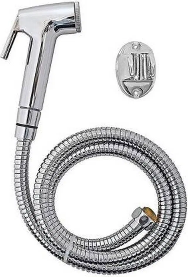 Health Faucet Head with Hose Pipe & Wall Hook, Silver, Set of 1