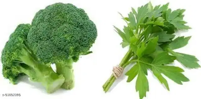 Lovage Vegetable Seeds of Herb & Broccoli Hybrid, Pack of 2