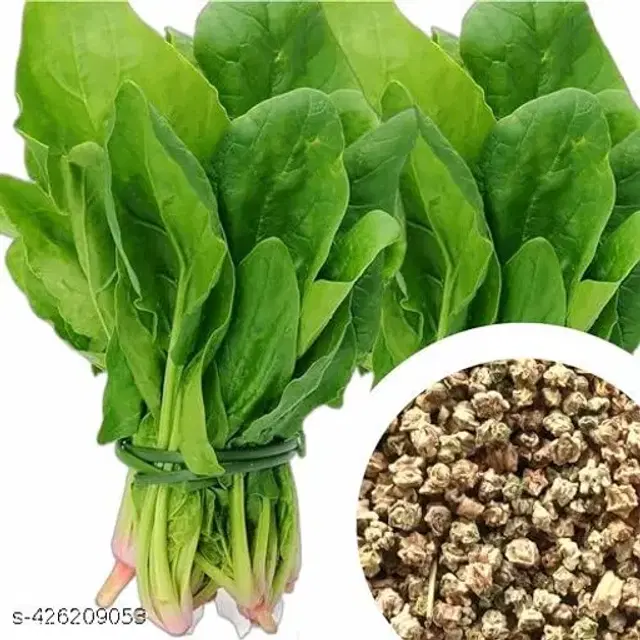 Desi Organic Green Chili 100 Pcs Seeds, Set of 1