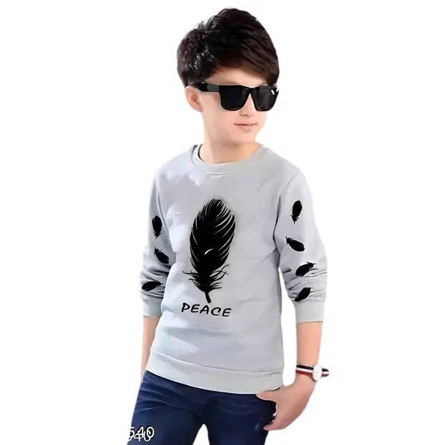 Round Neck Printed T-Shirt for Boys (Grey, 2-3 Years)