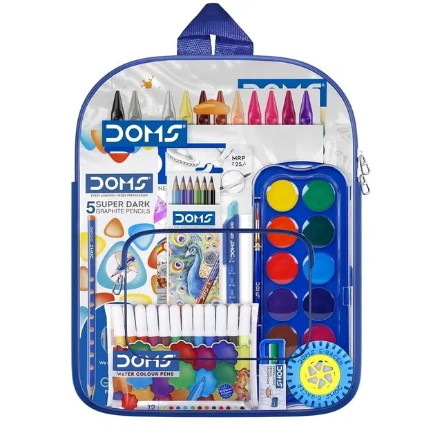 Doms Smart Kit With Transparent Zipper Bag