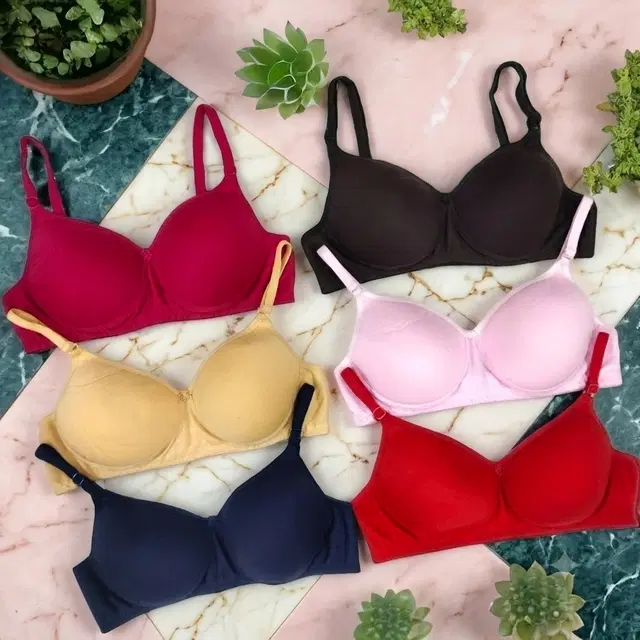 Bikini Set for Women, Pack of 2 (Multicolor, 32B)
