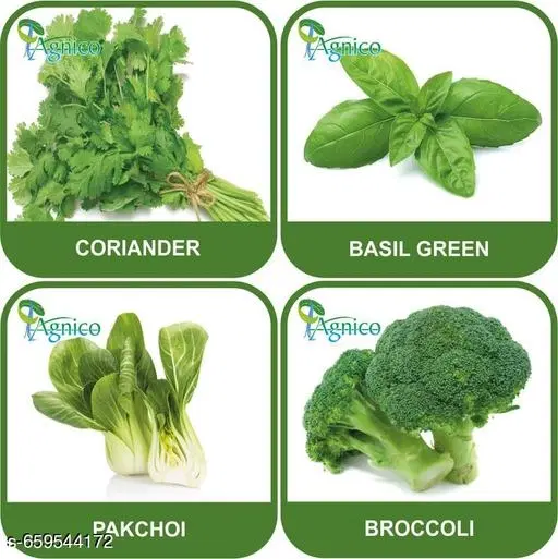 4 Vegetable Seeds Combo With Instruction Manual(Coriander/Basil Green/Pakchoi/Broccoli)