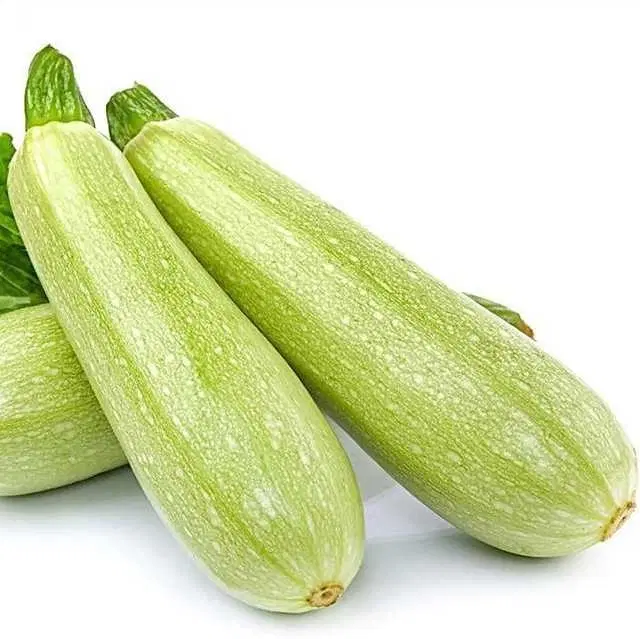 Zucchini Light Green Seeds, Pack Of 10