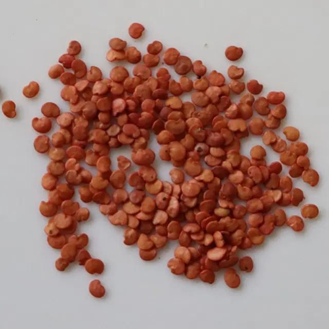 Cluster Beans Vegetable Seeds, Pack of 50