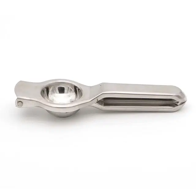 PARIKSHIT Steel Lemon Squeezer, Pack of 1