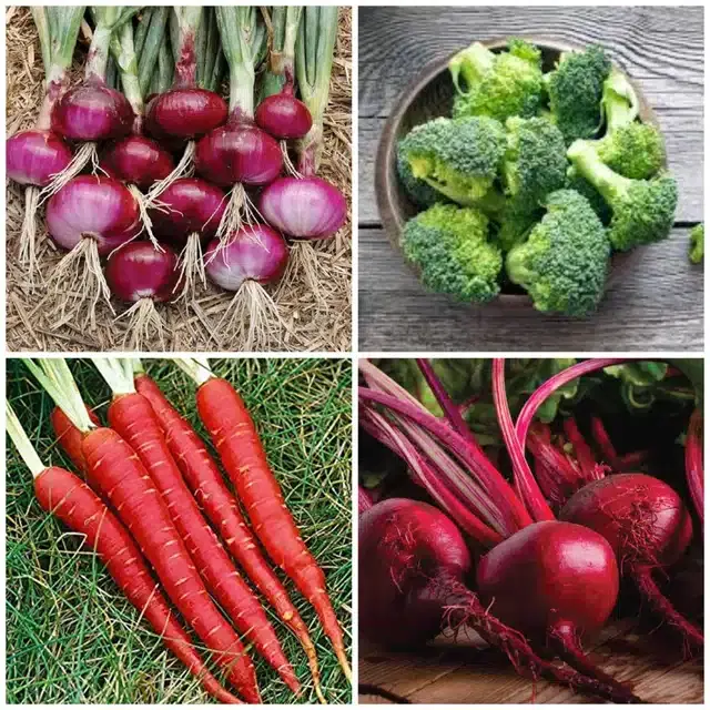 4 Variety of Vegetable Seeds, Combo of 4