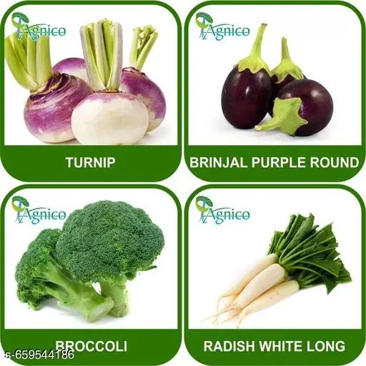 4 Vegetable Seeds Combo With Instruction Manual(Turnip/Brinjal Purple Round/Broccoli/Radish White Long)