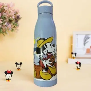 Stainless Steel Printed Water Bottle, Multicolor, 800 ml