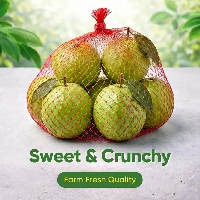 Fresh Guava 5 kg | 20-21 Pcs