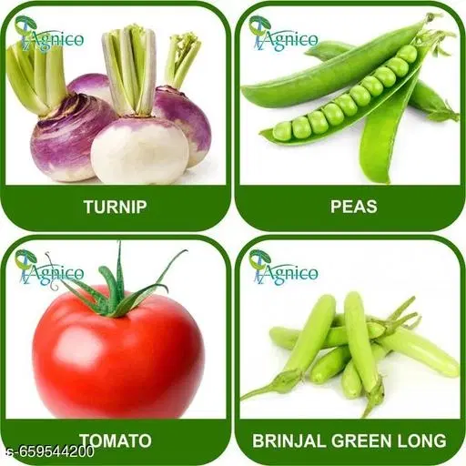 4 Vegetable Seeds Combo With Instruction Manual(Turnip/Brinjal Green Long/Tomato/Peas)