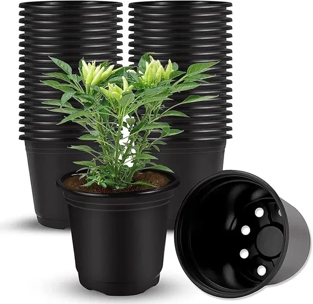 Plastic Plant Container, Black, Pack of 10