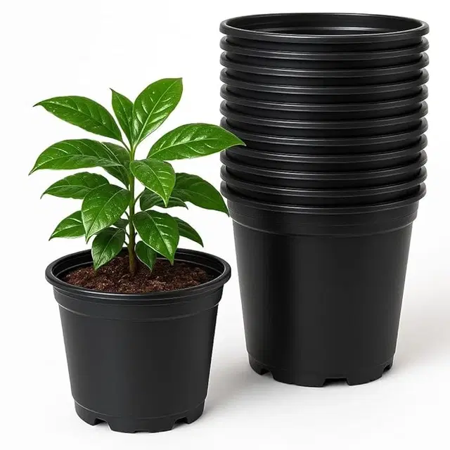 Plastic Plant Container, Black, Pack of 20