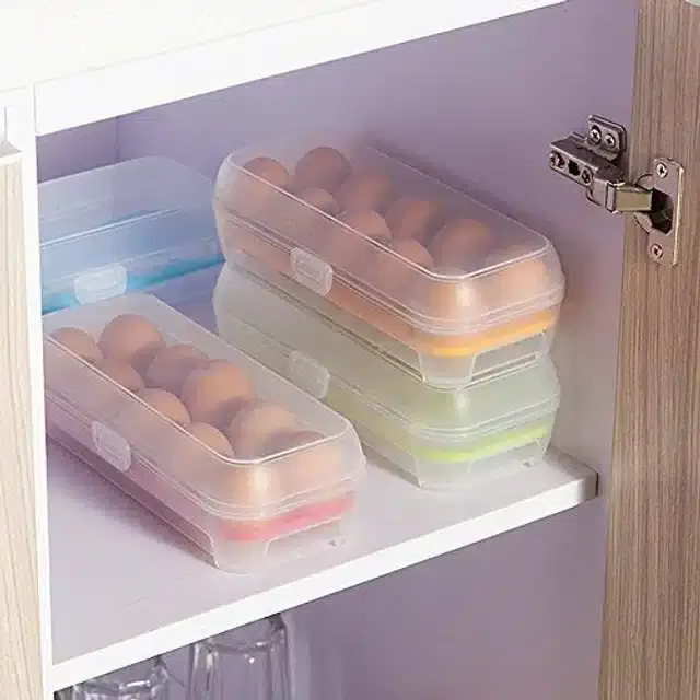 Plastic 10 Grid Egg Tray, Assorted, Pack of 1