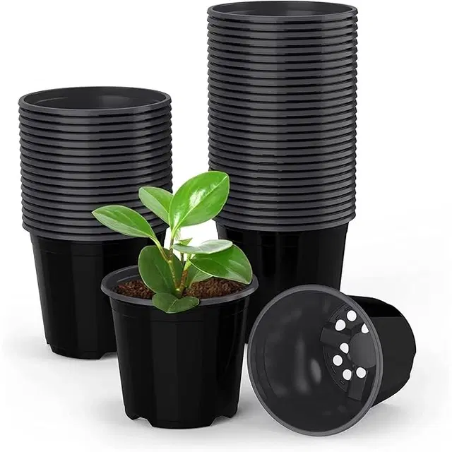 Plastic Plant Container, Black, Pack of 10