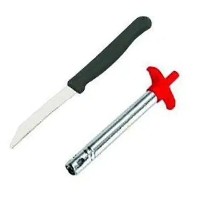 Combo of Stainless Steel Gas Lighter & Knife, Pack of 2, Multicolor