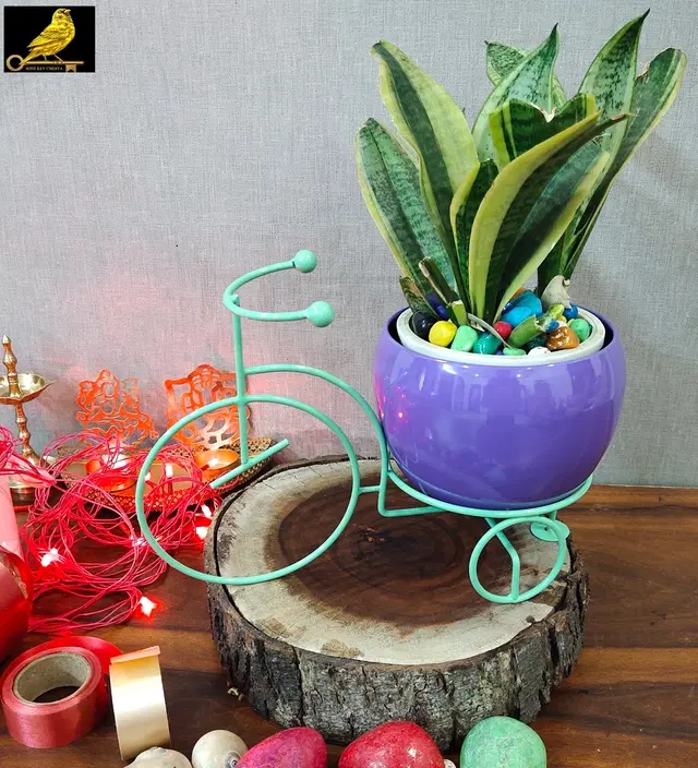 Metal Planter for Home, Green & Purple, Pack of 2