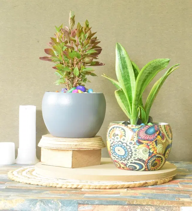 Metal Planter for Home, Multicolor, Pack of 2