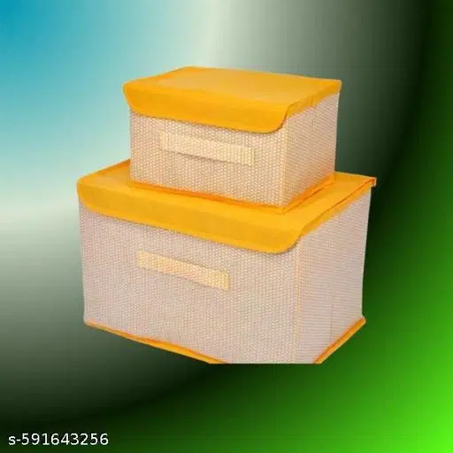 Non-woven Clothes Cover,  (Gray),  (Pack Of 2)