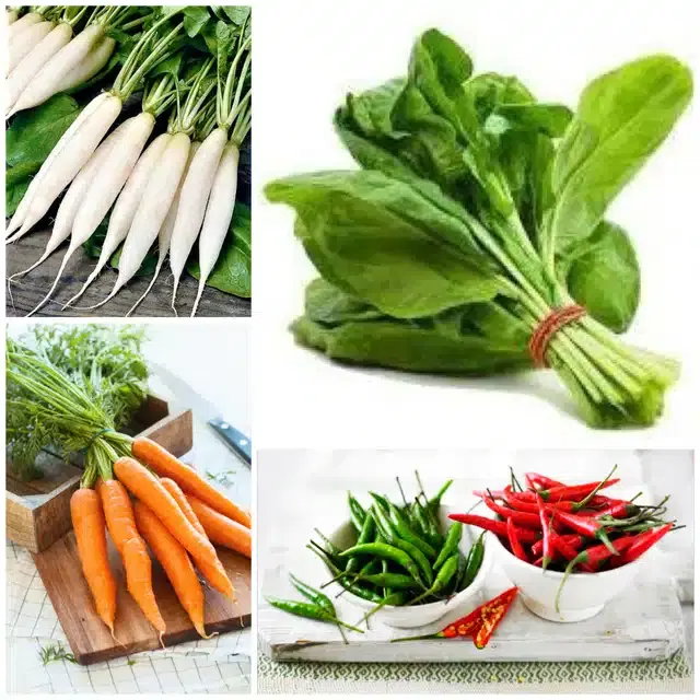 4 Variety of Vegetable Seeds, Combo of 4