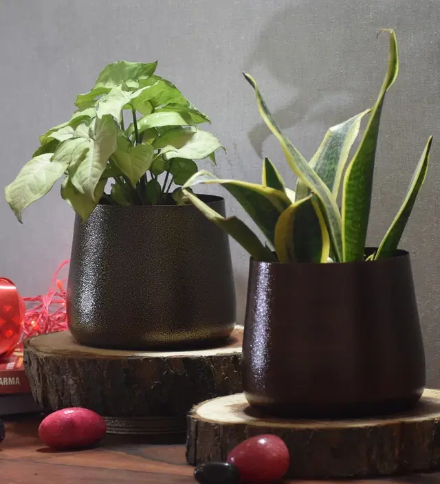 Metal Planter for Home, Multicolor, Pack of 2