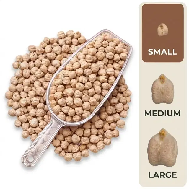 Chana Kabuli (Small Size) 500 g Loose