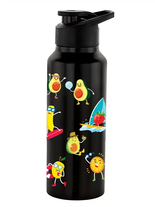 Stainless Steel Insulated Single Wall Water Bottle, Black, 750 ml