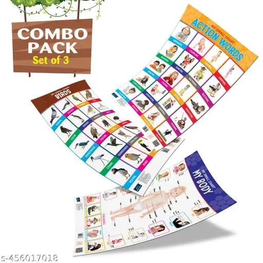 Bookford Publications My small chart Birds, My Body & Action Words (Set of 3)