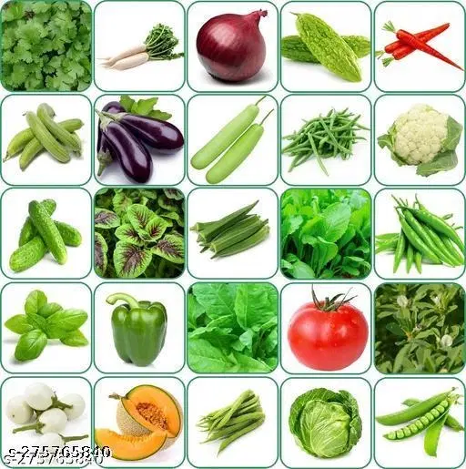 Aero Seeds Combo of 25 variety vegetable seeds with instruction manual.