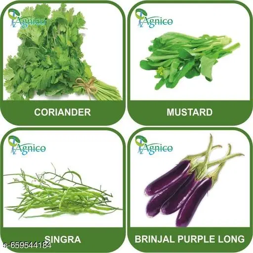 4 Vegetable Seeds Combo With Instruction Manual(Coriander/Mustard/Singra/Brinjal Purple Long)