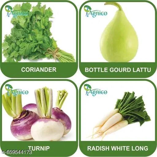 4 Vegetable Seeds Combo With Instruction Manual(Coriander/Bottle Gourd Lattu/Turnip/Radish White Long)