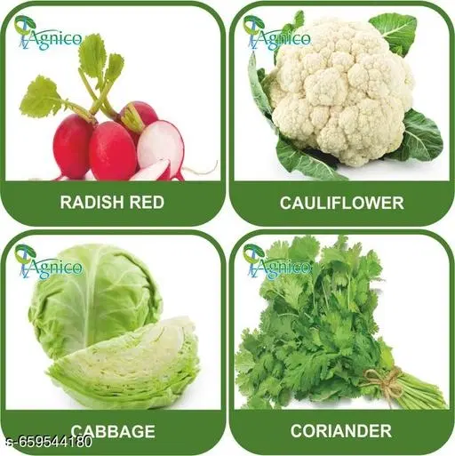 4 Vegetable Seeds Combo With Instruction Manual(Radish Red/Cauliflower/Cabbage/Coriander)