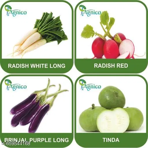 4 Vegetable Seeds Combo With Instruction Manual(Radish White Long/Radish Red/Brinjal Purple Long/Tinda)