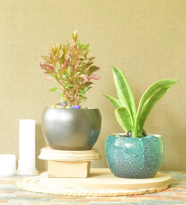 Metal Planter for Home, Multicolor, Pack of 2