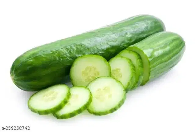 Cucumber Hybrid Vegetable Seeds, Pack of 50