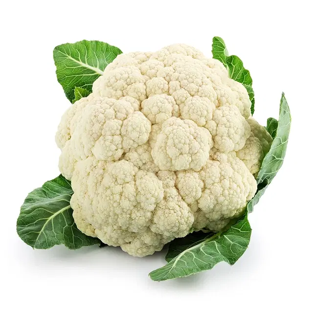 Jignisha Seeds Cauliflower Seeds, White, Pack of 50