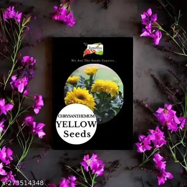 Chrysanthemum Yellow Hybrid Flower Seeds, Pack of 30