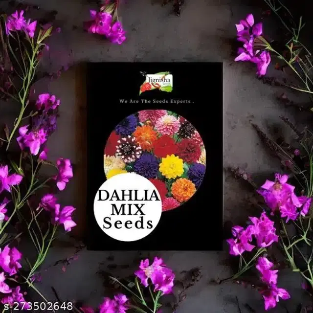 Dahlia Mix Hybrid Flower Seeds, Pack of 20