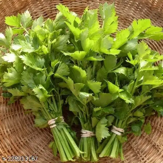 Celery Seeds, Pack of 100