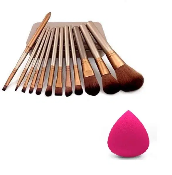 12 Piece Makeup Brush Set With Makeup Blender Combo, Pack Of 1