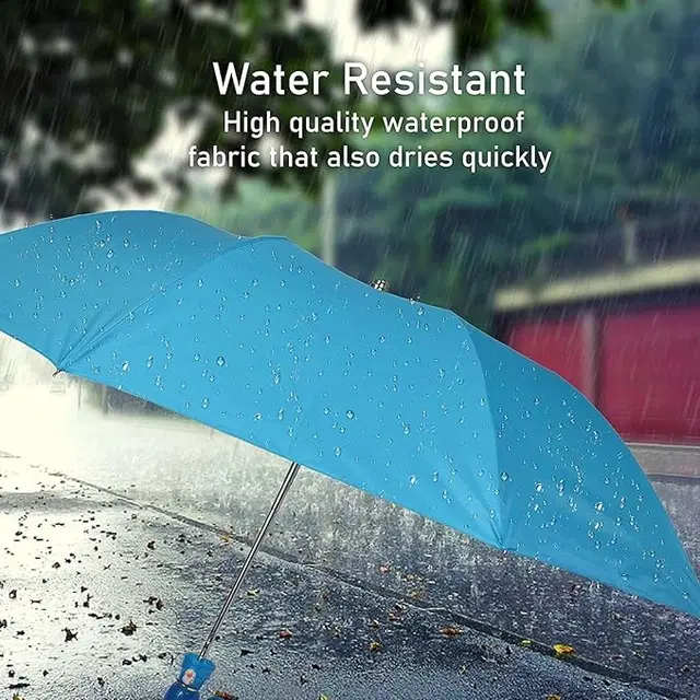 Portable Solid 2 Fold Umbrella, Assorted