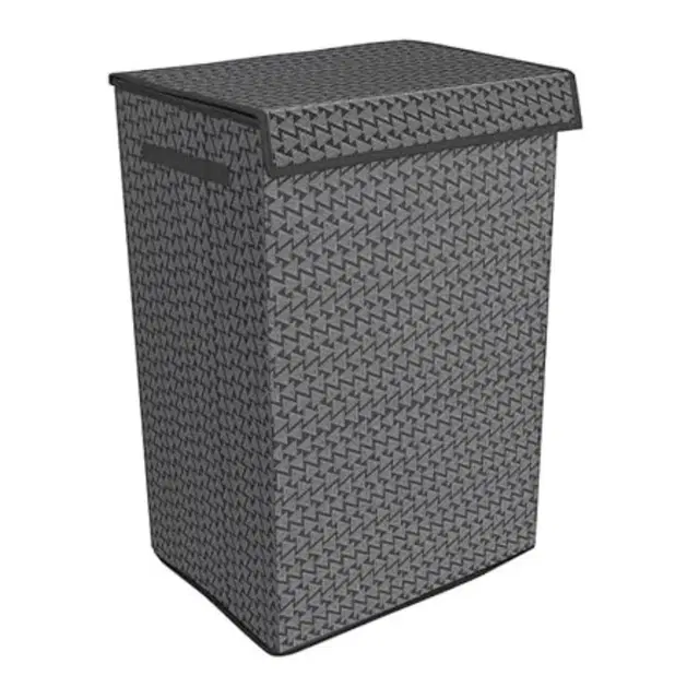 TerraHome x Double-R Foldable Laundry Basket with Lid & Handle – 75L Non-Woven Cloth Storage Organizer, Moisture-Proof & Space-Saving Hamper (57x30x42 cm, DR Black, 1 Compartment)