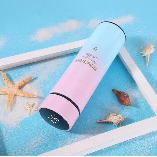 Stainless Steel Vacuum Insulated Water Bottle with LED Temperature Display, Multicolor, 500 ml